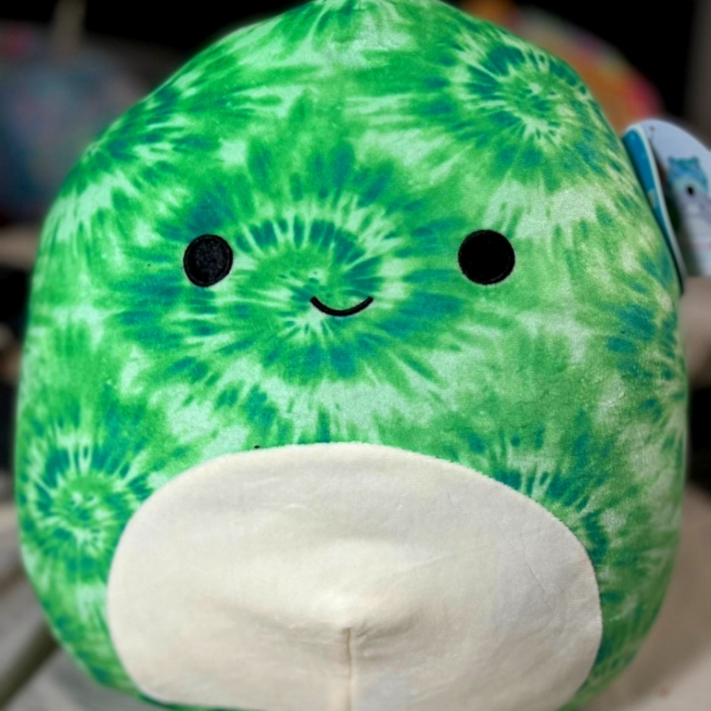 Naddie the turtle
